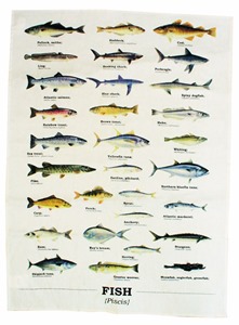 ecologie fish