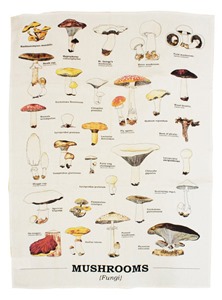 ecologie mushroom