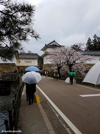 Sakura Season in Hikone Japan on Kavey Eats-132232