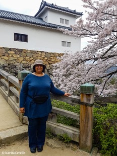 Sakura Season in Hikone Japan on Kavey Eats-141312