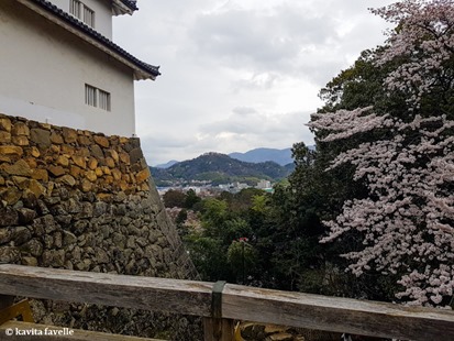 Sakura Season in Hikone Japan on Kavey Eats-141340