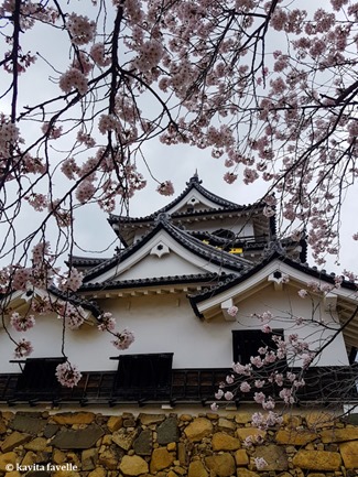 Sakura Season in Hikone Japan on Kavey Eats-143743