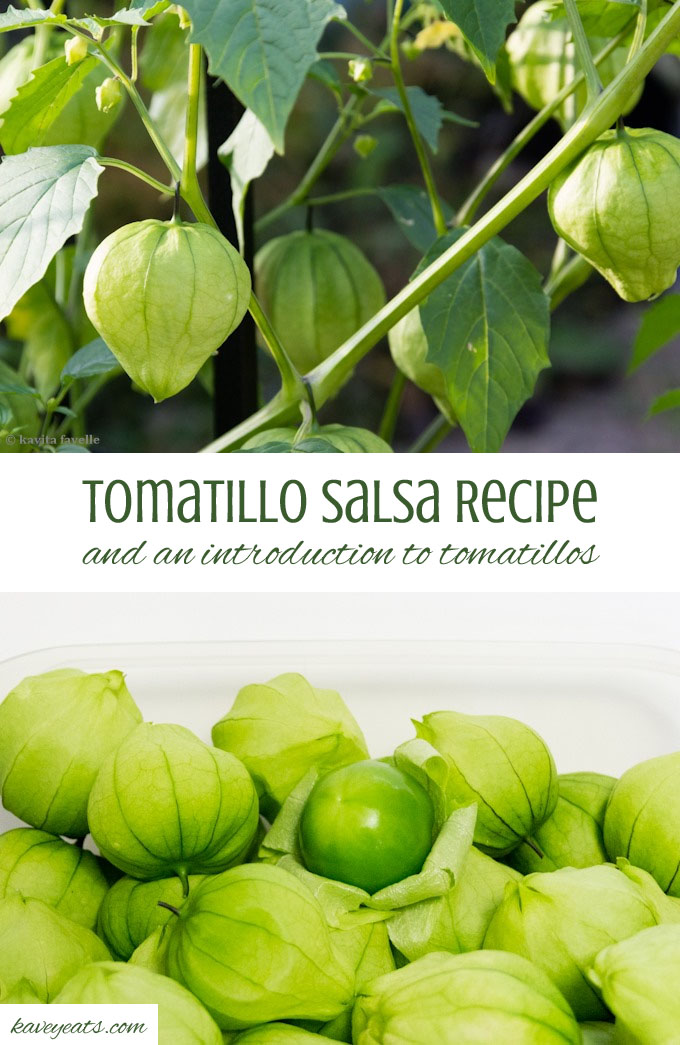 Tomatillo Salsa and an introduction to tomatillos