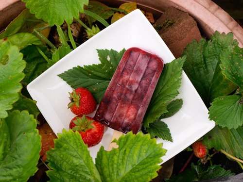 Summer-Pudding-Ice-Lolly-BS
