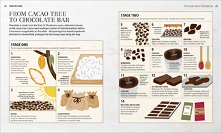 From cacao tree to chocolate bar