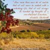 Alentejo vineyard view in autumn, with quote overlay from Isabelle Eberhardt
