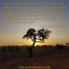 Sunset image of tree in Alentejo, Portugal, overlay text “You would have to tie me to a tree to stop me travelling. I don't know where to go next. As I get older and travel more, the world seems to open up to me, beckoning me and whispering in my ear saying ‘Go’.” Joanna Lumley