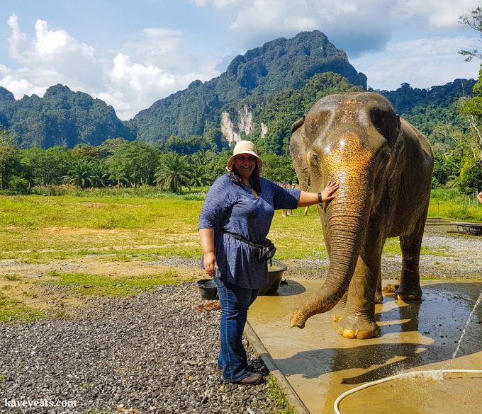 Elephant Hills in Khao Sok National Park. Elephant tourism in Thailand is booming but not all of it is ethical or sustainable. Learn how to select an ethical elephant experience, and read about our stay at Elephant Hills. 