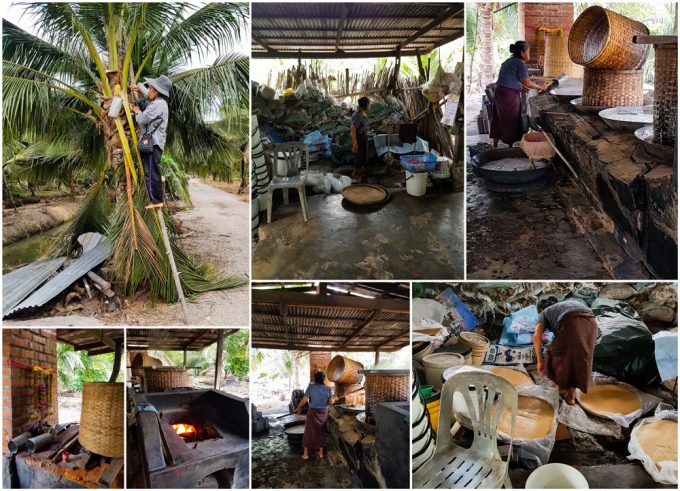 Tha Kha Coconut Palm Sugar Farm near Bangkok Thailand