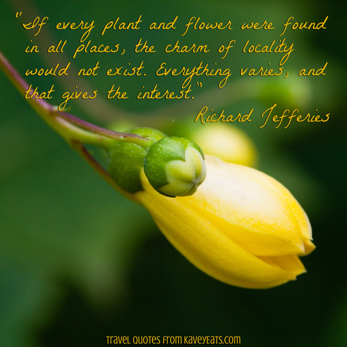 “If every plant and flower were found in all places, the charm of locality would not exist. Everything varies, and that gives the interest.” Richard Jefferies