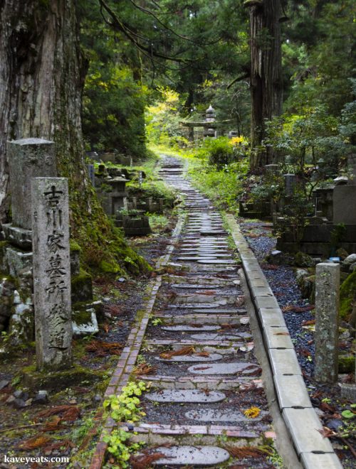 Spiritual Japan | Koyasan Temple Stay & Visit to Okunoin Cemetery 