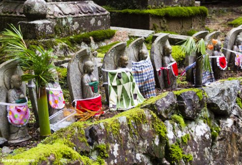 Spiritual Japan | Koyasan Temple Stay & Visit to Okunoin Cemetery 