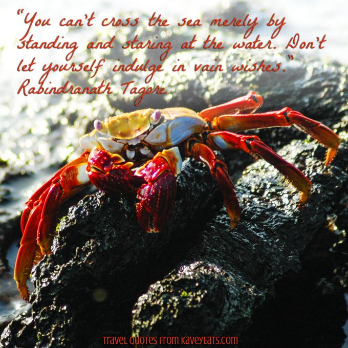 Sally Lightfoot Crab in Galapagos Islands - “You can't cross the sea merely by standing and staring at the water. Don't let yourself indulge in vain wishes.” ~ Rabindranath Tagore