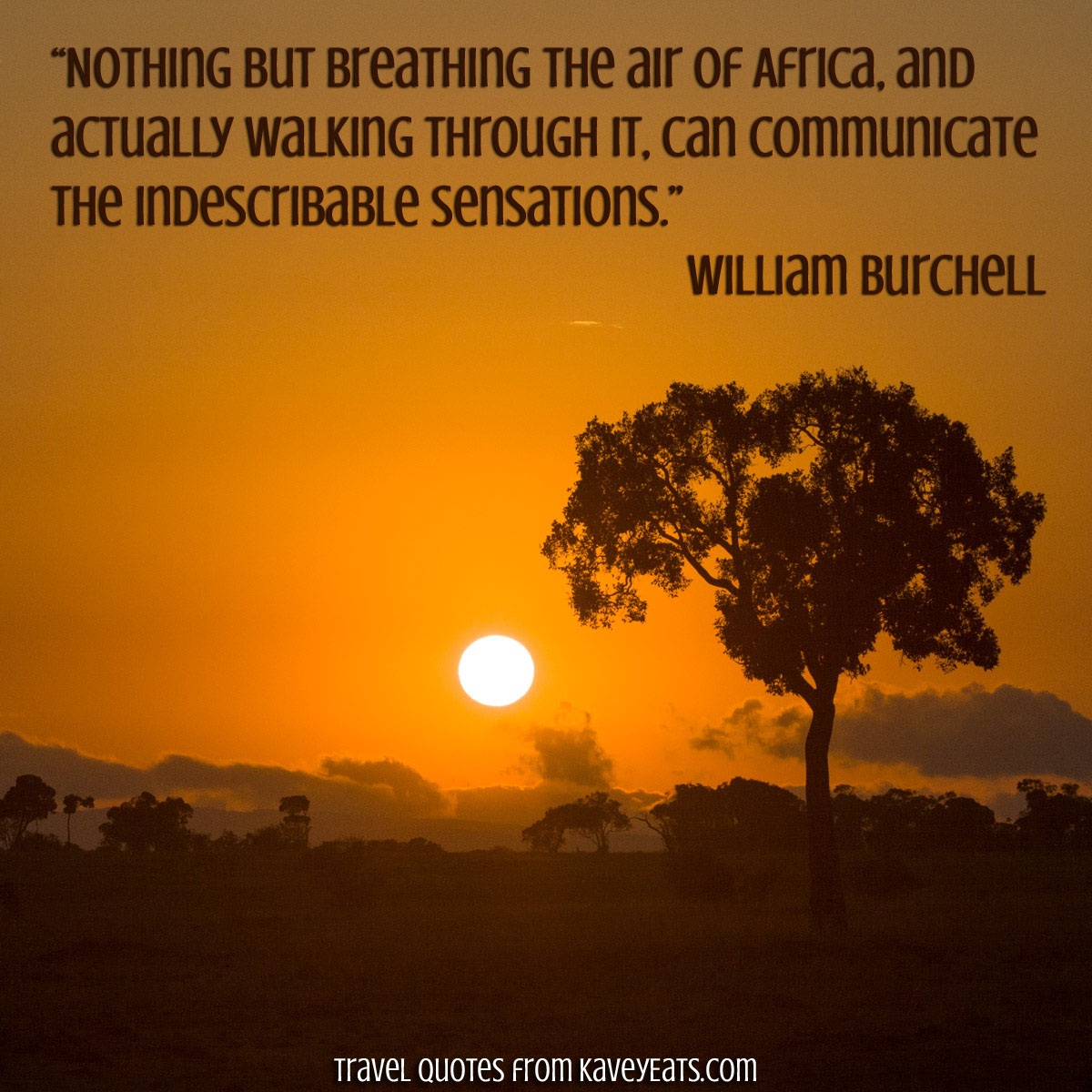 "Nothing but breathing the air of Africa, and actually walking through it, can communicate the indescribable sensations." ~ William Burchell