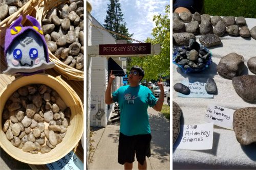 Petoskey Stones - The Best Souvenirs to Buy in the USA