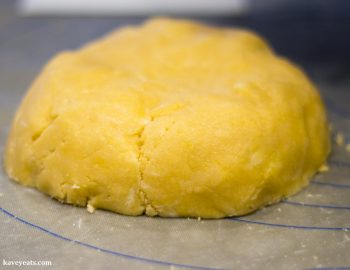 The pastry turned out onto a surface and gently formed by hand into a ball