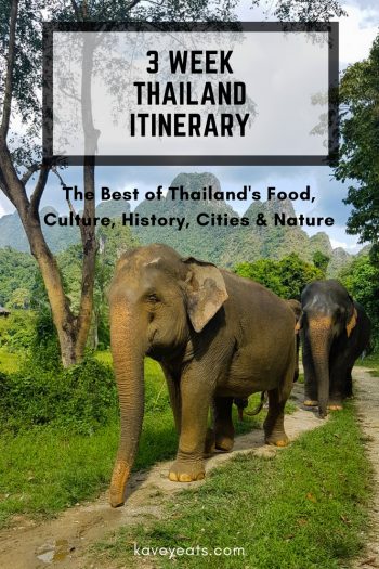 Asian Elephants - 3 Week Thailand Itinerary
