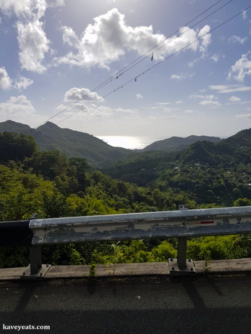 Rainforest interior of Grenada