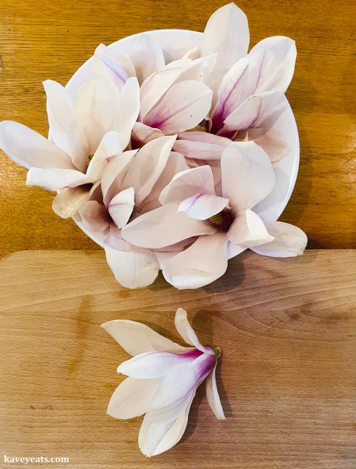 Magnolia Flowers