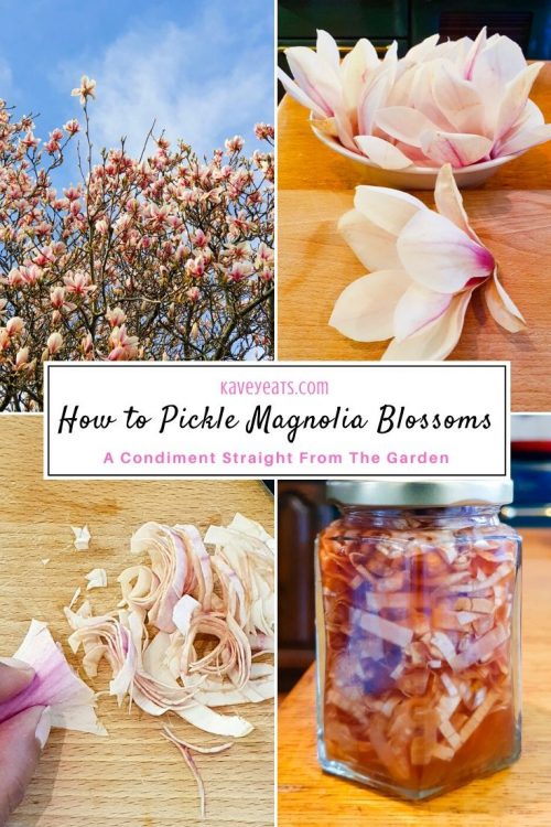 Collage: How to Pickle Magnolia Blossoms