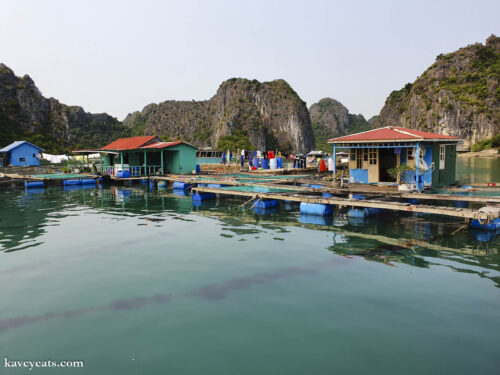 Floating Fishing Village, Halong Bay and Cat Ba Cruise, Vietnam